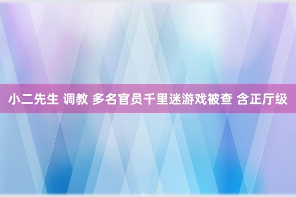 小二先生 调教 多名官员千里迷游戏被查 含正厅级