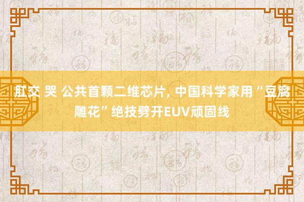 肛交 哭 公共首颗二维芯片， 中国科学家用“豆腐雕花”绝技劈开EUV顽固线