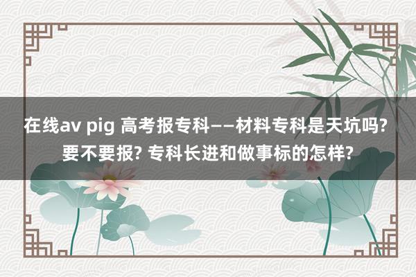 在线av pig 高考报专科——材料专科是天坑吗? 要不要报? 专科长进和做事标的怎样?